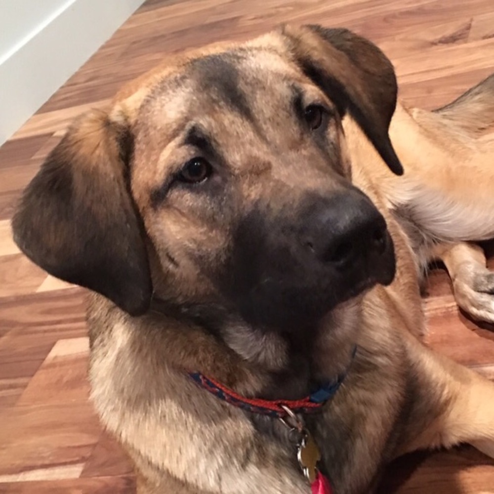 Meet your Posher, Jacquie